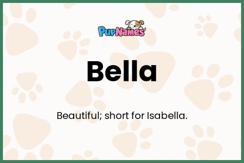 Bella dog name meaning