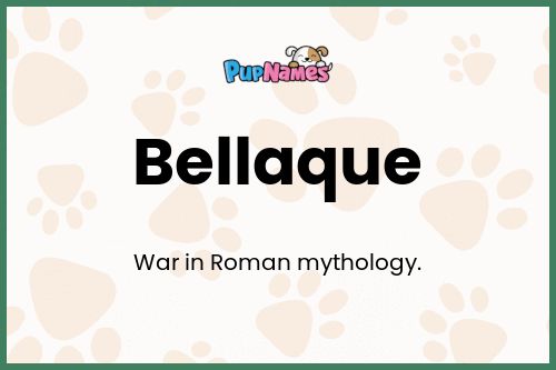 Bellaque dog name meaning