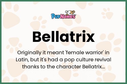 Bellatrix dog name meaning