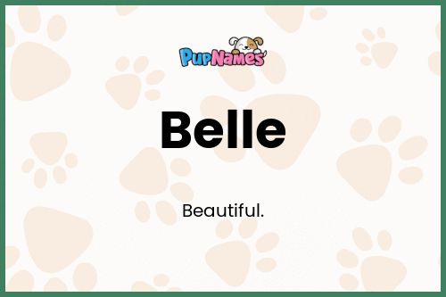 Belle dog name meaning