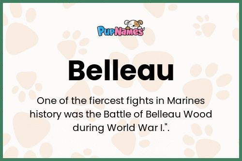 Belleau dog name meaning