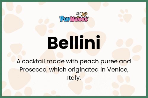 Bellini dog name meaning