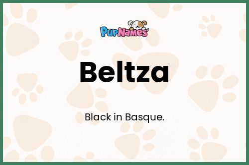 Beltza dog name meaning