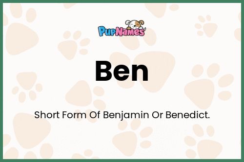 Ben dog name meaning