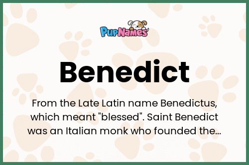 Benedict dog name meaning