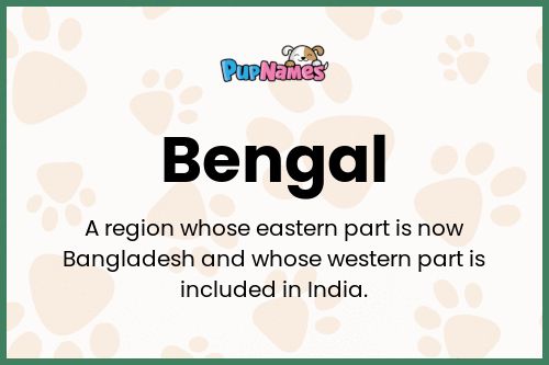 Bengal dog name meaning