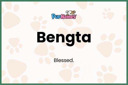 Bengta dog name meaning