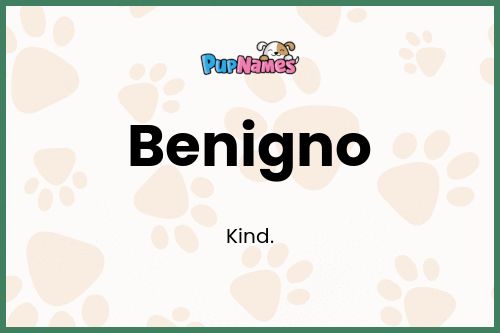 Benigno dog name meaning