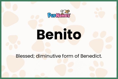 Benito dog name meaning