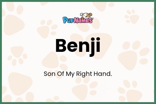 Benji dog name meaning