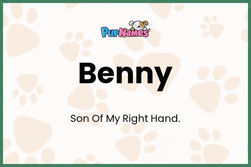 Benny dog name meaning