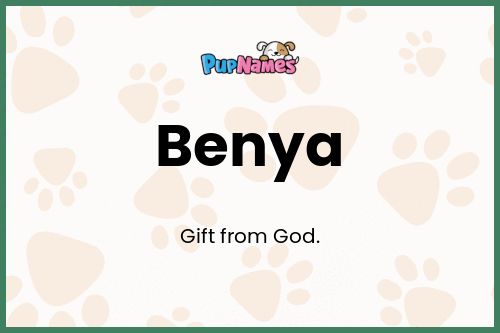 Benya dog name meaning