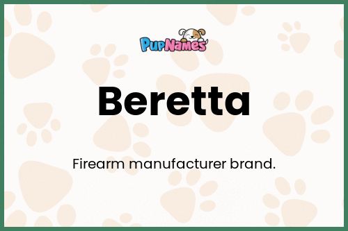 Beretta dog name meaning