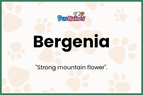 Bergenia dog name meaning