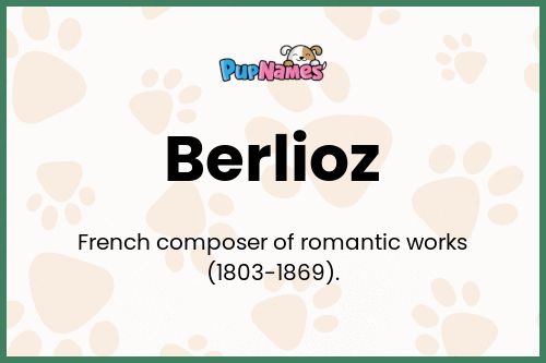 Berlioz dog name meaning