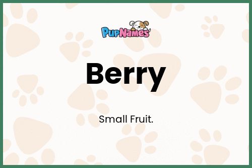 Berry dog name meaning