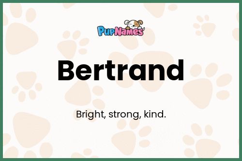 Bertrand dog name meaning