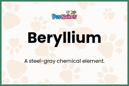 Beryllium dog name meaning