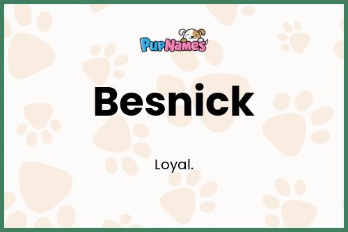 Besnick dog name meaning