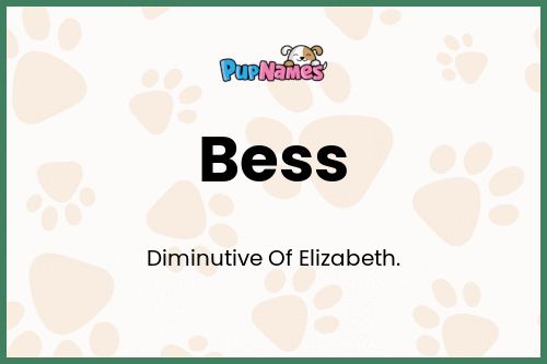 Bess dog name meaning