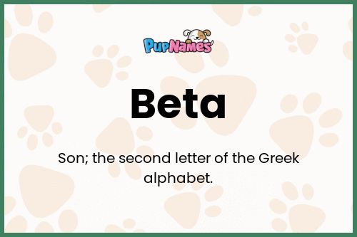 Beta dog name meaning