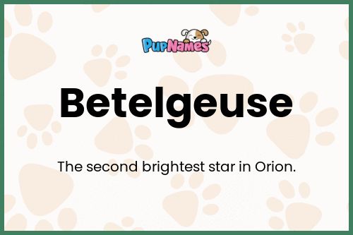 Betelgeuse dog name meaning