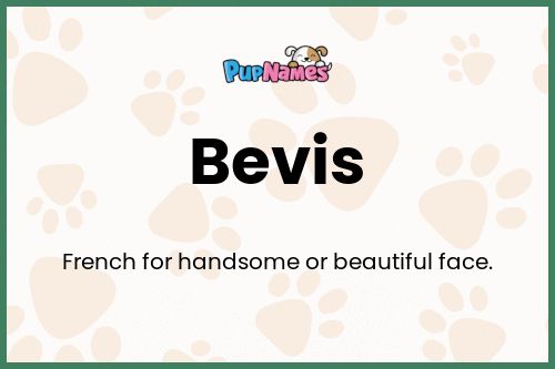 Bevis dog name meaning