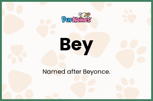 Bey dog name meaning