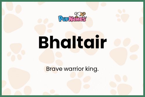 Bhaltair dog name meaning