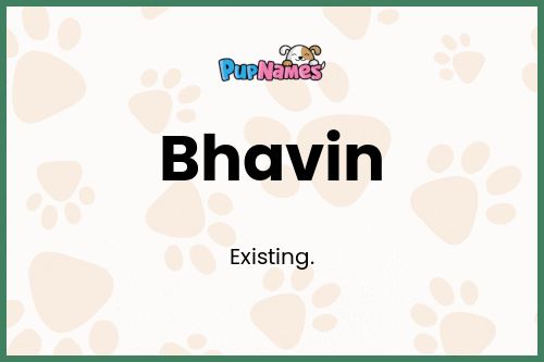 Bhavin dog name meaning