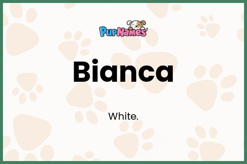 Bianca dog name meaning