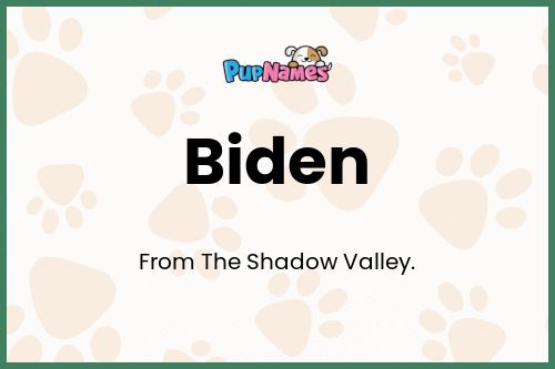 Biden dog name meaning