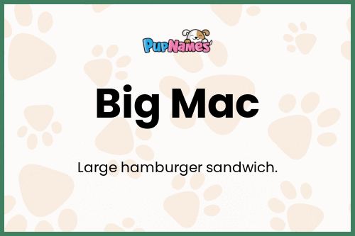 Big Mac dog name meaning