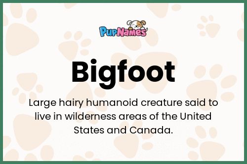 Bigfoot dog name meaning