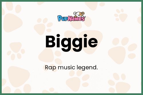 Biggie dog name meaning