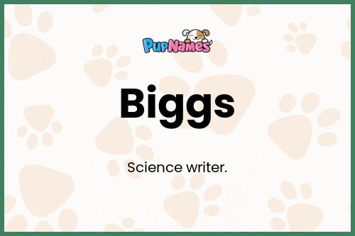 Biggs dog name meaning