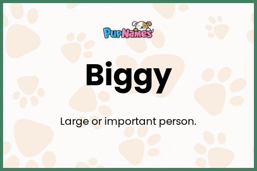 Biggy dog name meaning