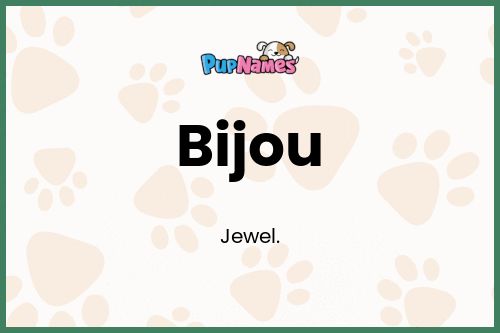 Bijou dog name meaning