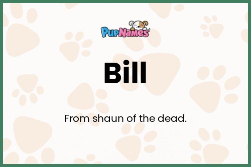 Bill dog name meaning