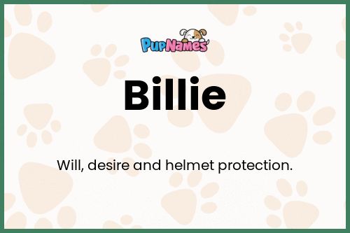 Billie dog name meaning