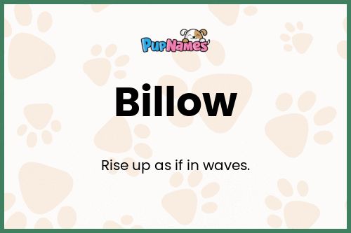 Billow dog name meaning