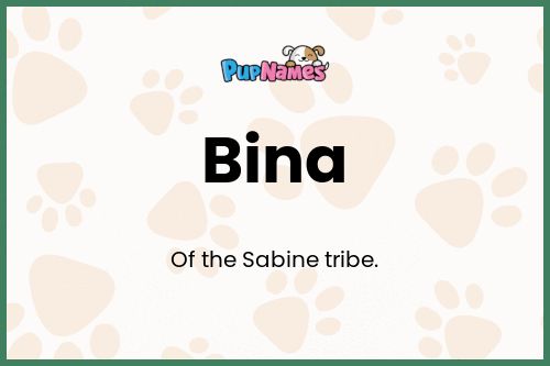 Bina dog name meaning