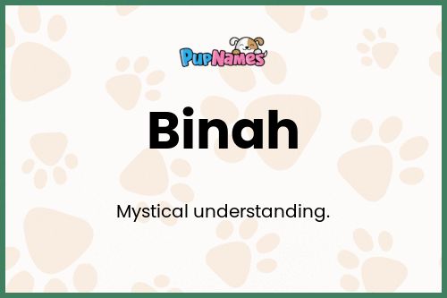 Binah dog name meaning