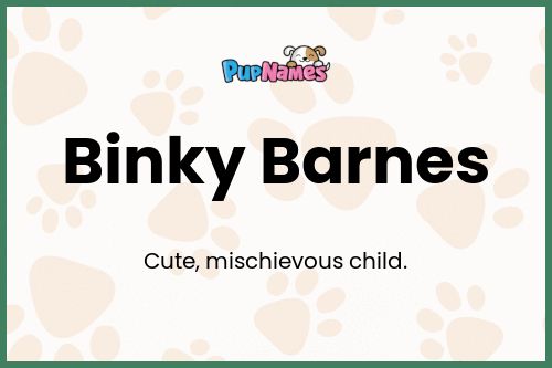 Binky Barnes dog name meaning