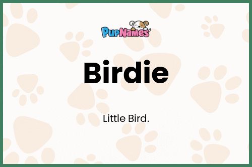 Birdie dog name meaning