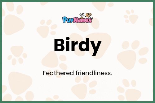 Birdy dog name meaning