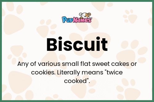 Biscuit dog name meaning