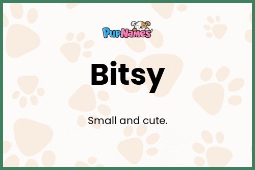 Bitsy dog name meaning