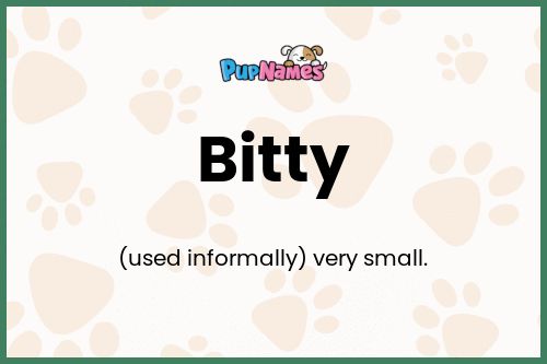 Bitty dog name meaning