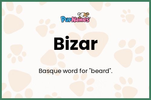 Bizar dog name meaning